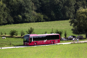 services location de bus avec chauffeur