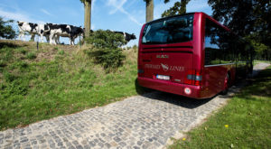 Location de bus haut de gamme - modèles récents